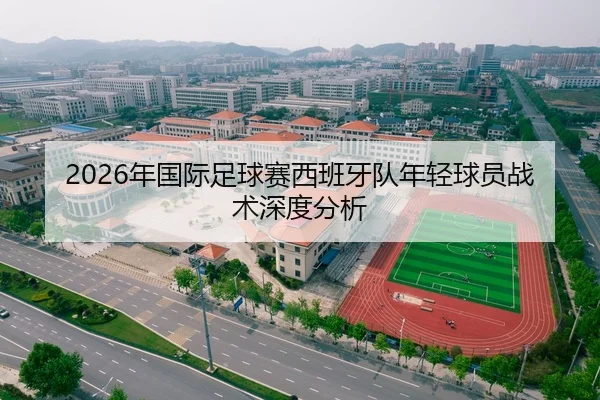 2026年国际足球赛西班牙队年轻球员战术深度分析