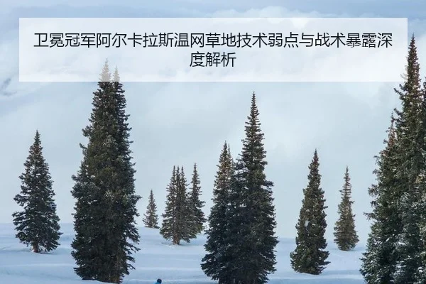 wei-mian-guan-jun-a-er-ka-la-si-wen-wang-cao-di-ji-shu-ruo-dian-yu-zhan-shu-bao-lu-shen-du-jie-xi-3-267.jpg