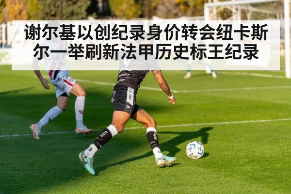 谢尔基以创纪录身价转会纽卡斯尔一举刷新法甲历史标王纪录